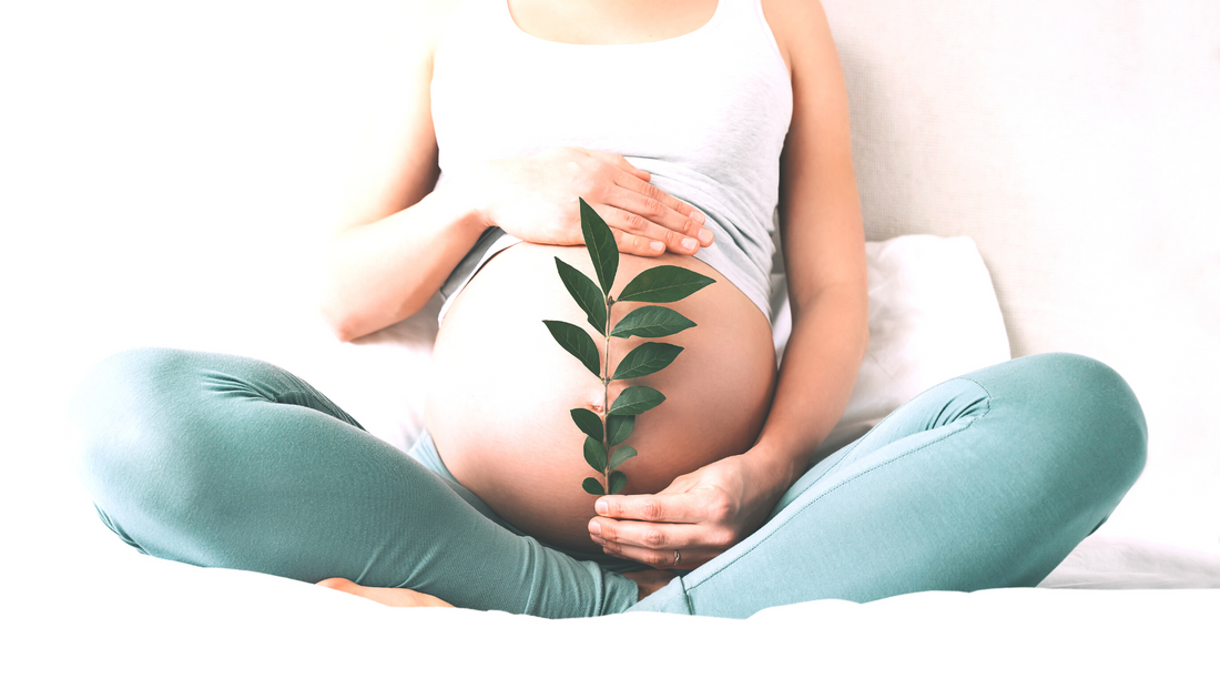 Creatine Supplementation During Pregnancy and Breastfeeding