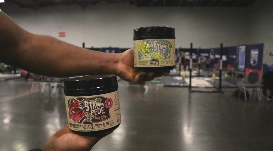 How Can You Benefit From Stammpede?