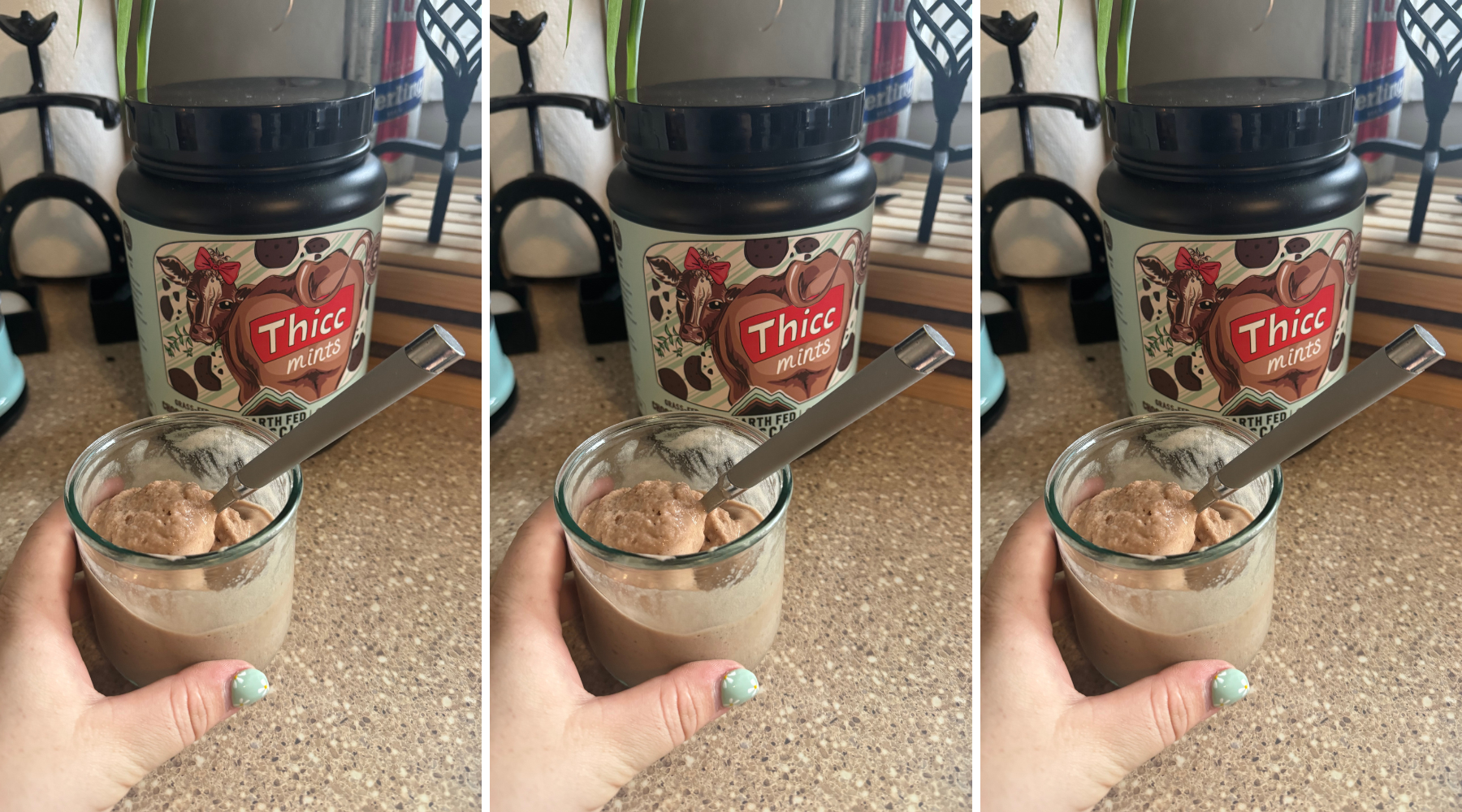 Thicc Mints Nice Cream – Earth Fed Muscle