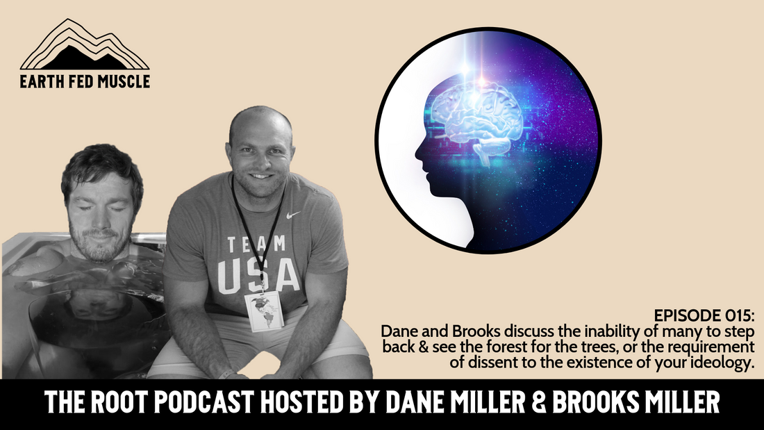 015: THE ROOT - THE BUDDHIST PARABLE OF THE BLIND MEN AND THE ELEPHANT