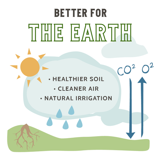 Grass-Fed Whey Protein is better for the earth. Healthier soil, cleaner air, natural irrigation