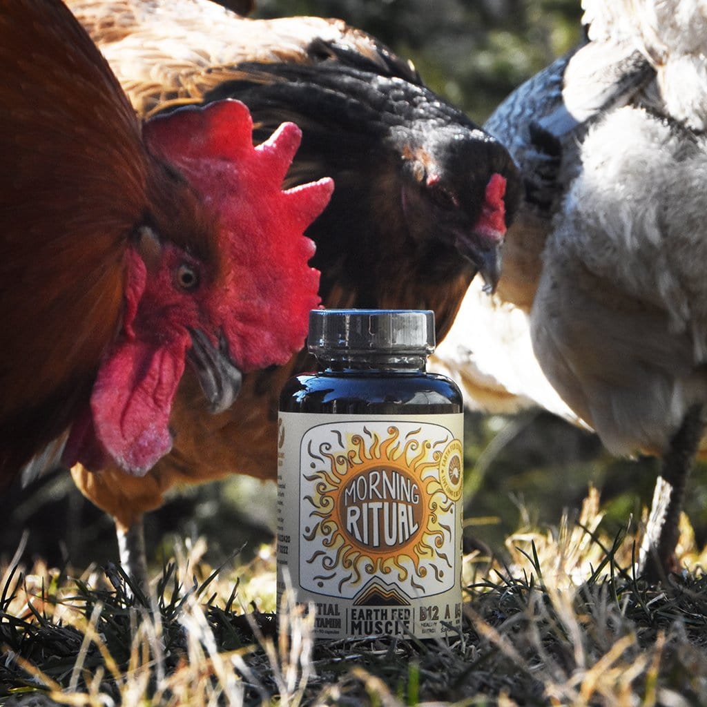 Morning Ritual Multivitamin