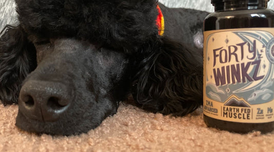 Sleep and Anxiety | Earth Fed Muscle