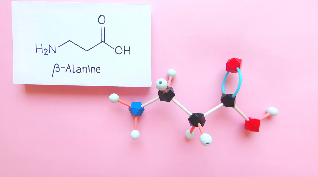 What is Beta-Alanine? Everything You Need To Know