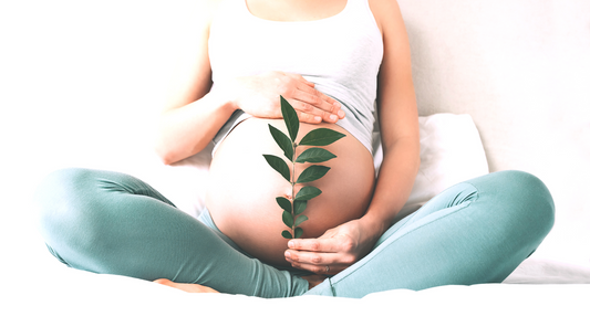 Creatine Supplementation During Pregnancy and Breastfeeding