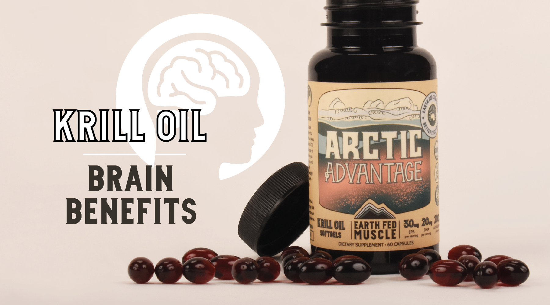 Why Krill Oil is Important for Brain Health Earth Fed Muscle