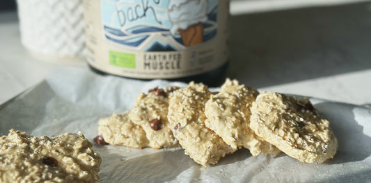 Power-Packed Ooey Gooey Oatmeal Protein Cookies