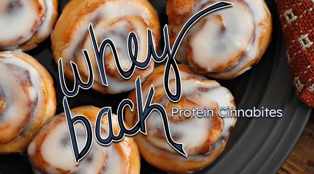 Whey Back Protein Cinnabites
