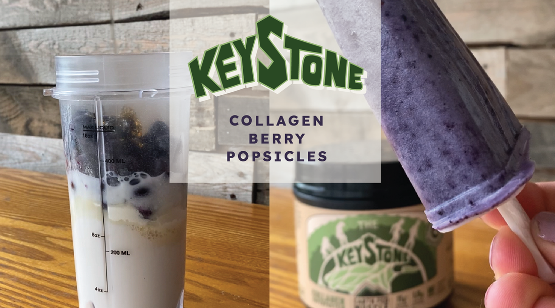 Earth Fed Muscle Keystone Collagen Berry Popsicles