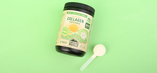 Understanding Collagen