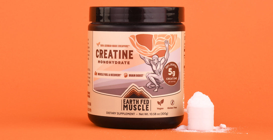 Creatine: An Introduction