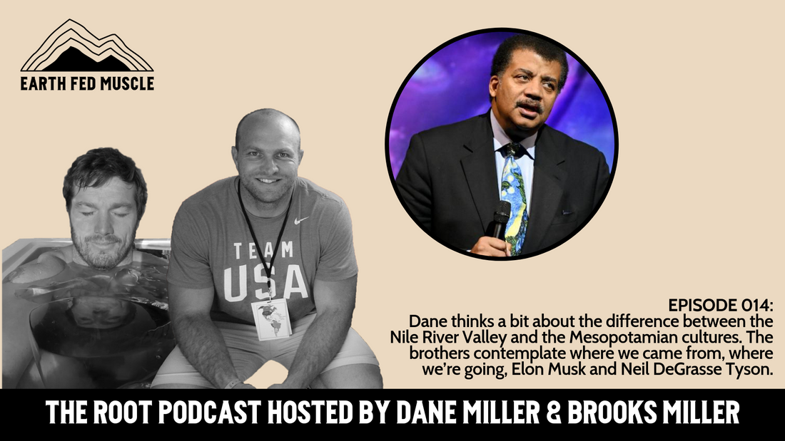 014: THE ROOT - THE FOUR FUNCTIONS OF MYTHOLOGY