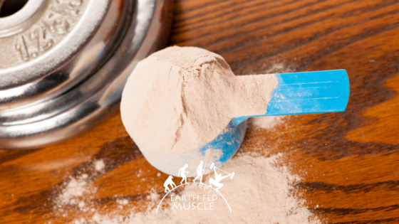 Whey Protein and Its Impact on Recovery
