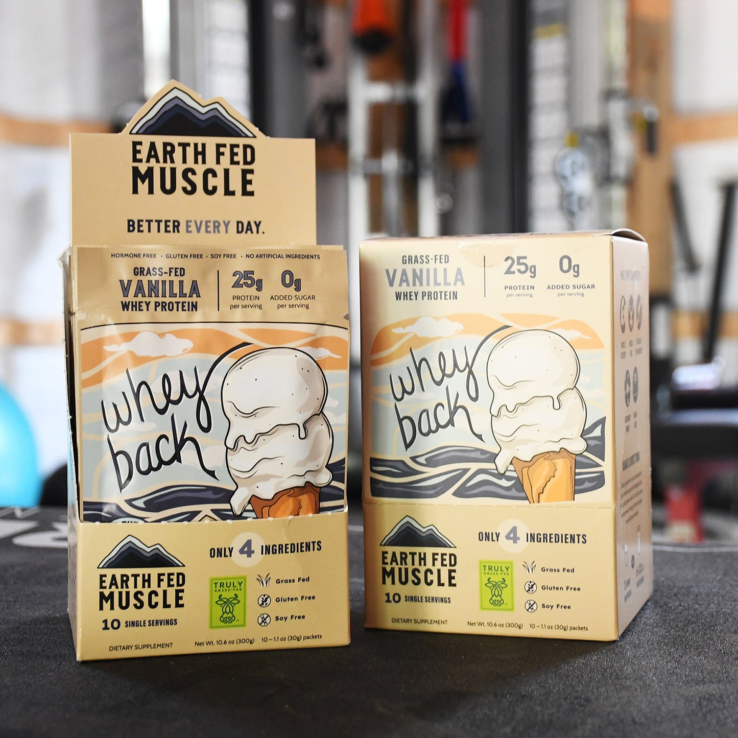 Single Serving Whey Protein (10-Pack)