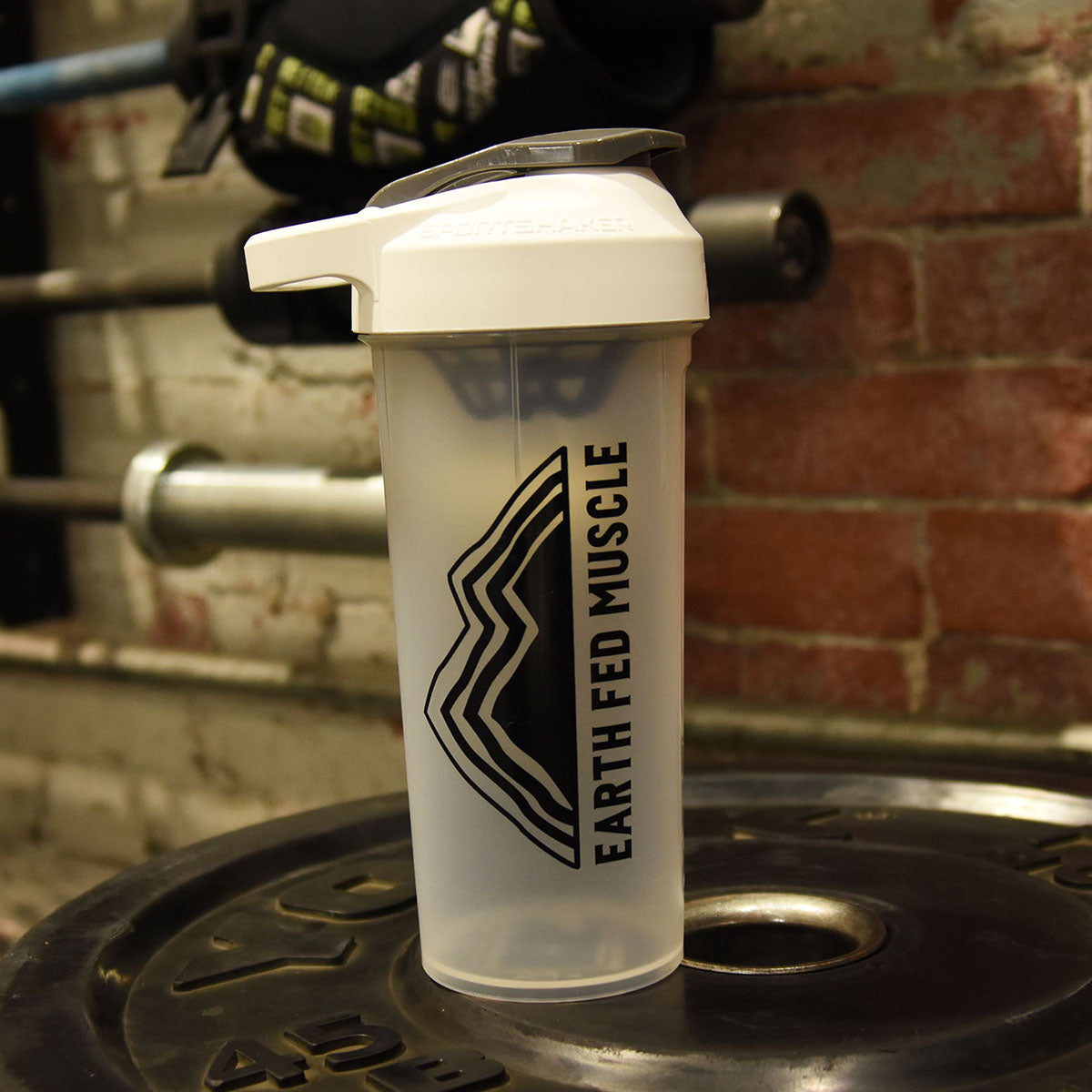 Shaker Bottle