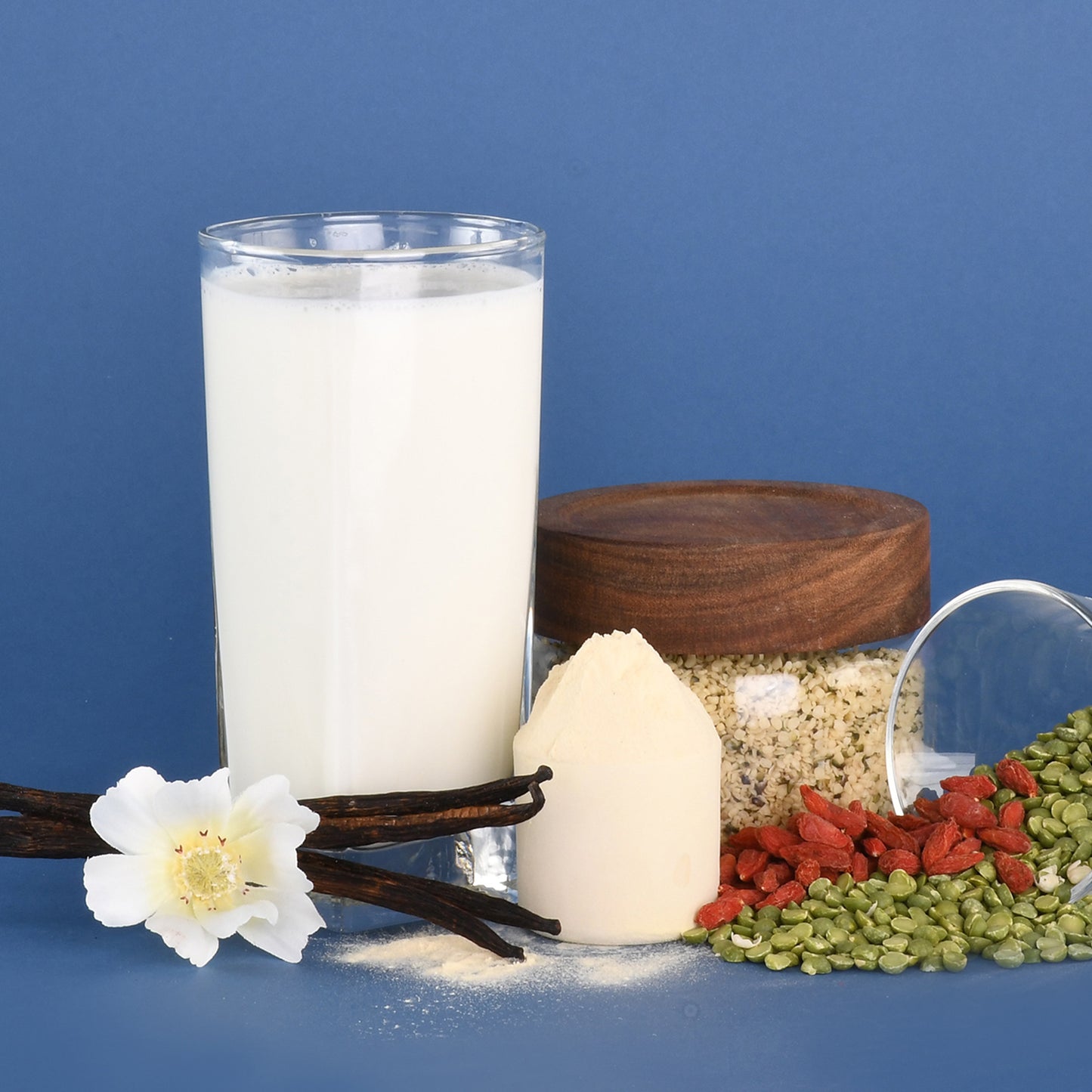 Common Ground Vanilla Plant Protein