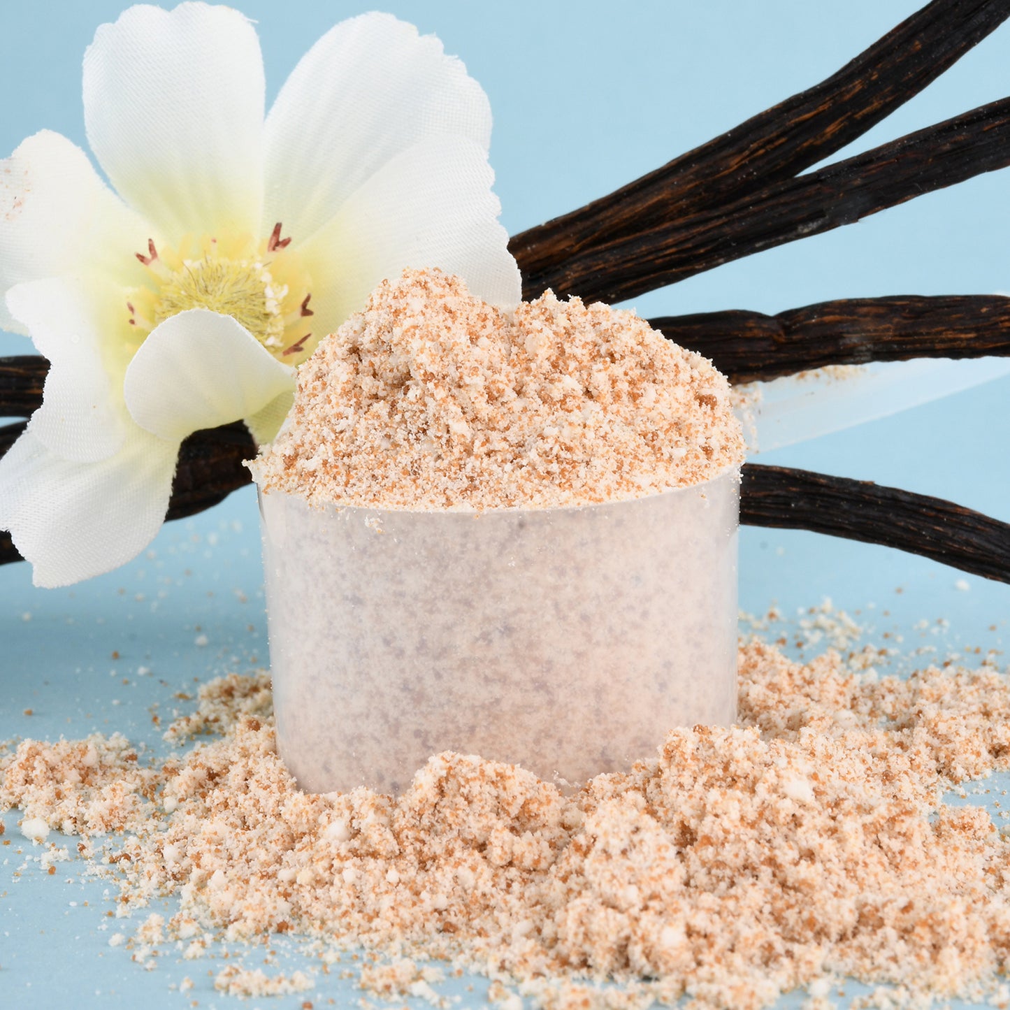 Morning Charge Vanilla Supernutrient Creamer with Lion’s Mane