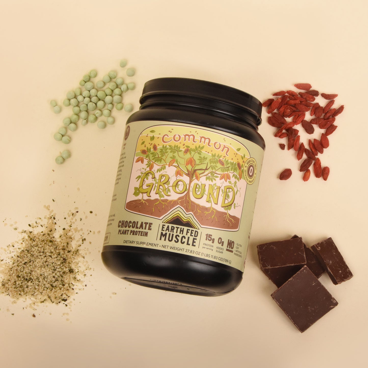 Common Ground Chocolate Plant Protein