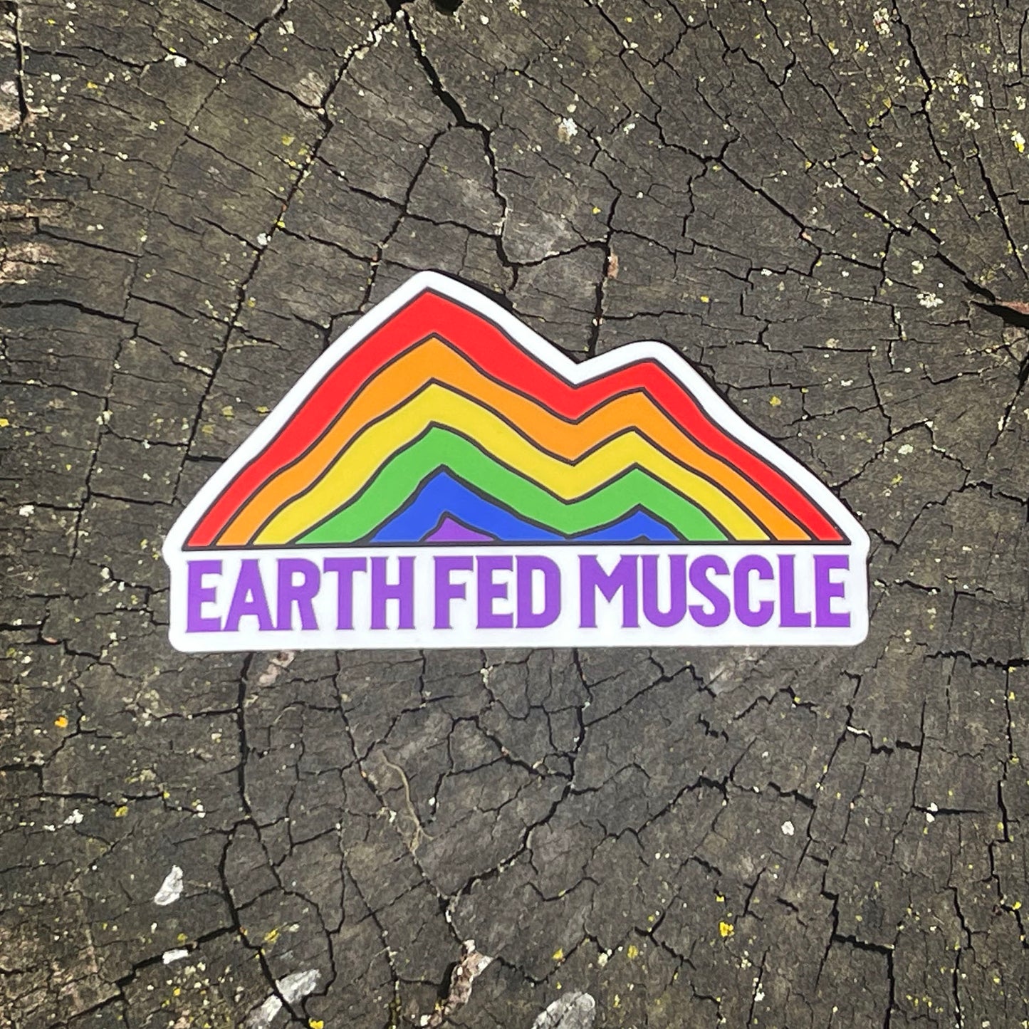 Earth Fed Die Cut Sticker Rainbow