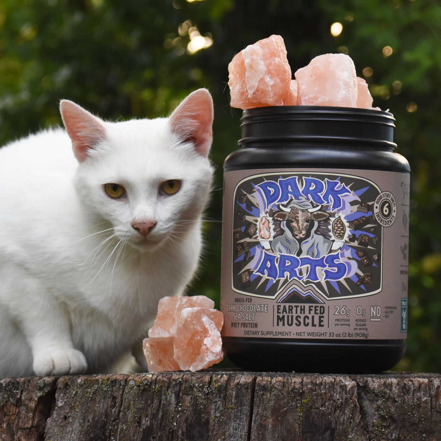Dark Arts Salted Chocolate Grass Fed Protein