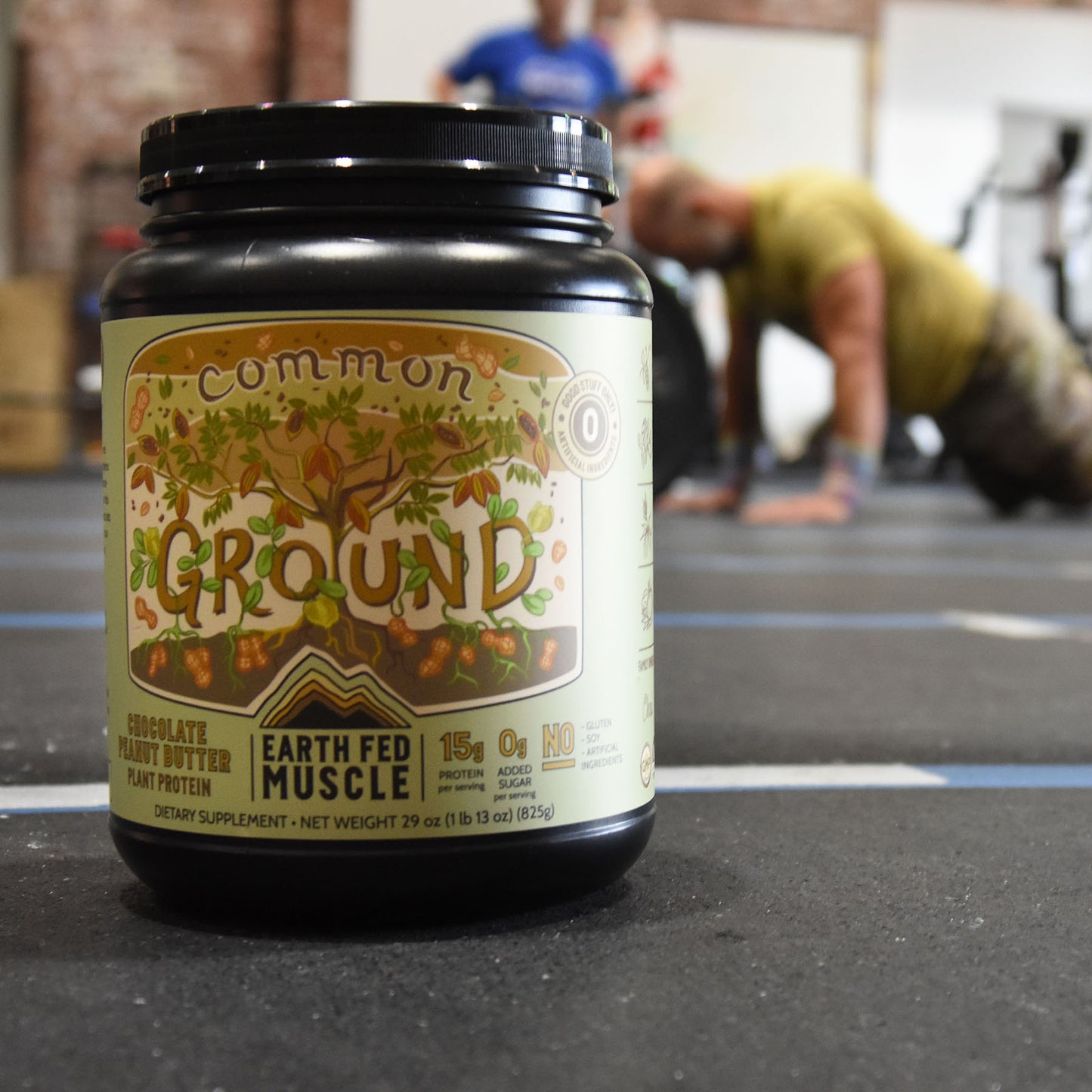 Common Ground Chocolate Peanut Butter Plant Protein