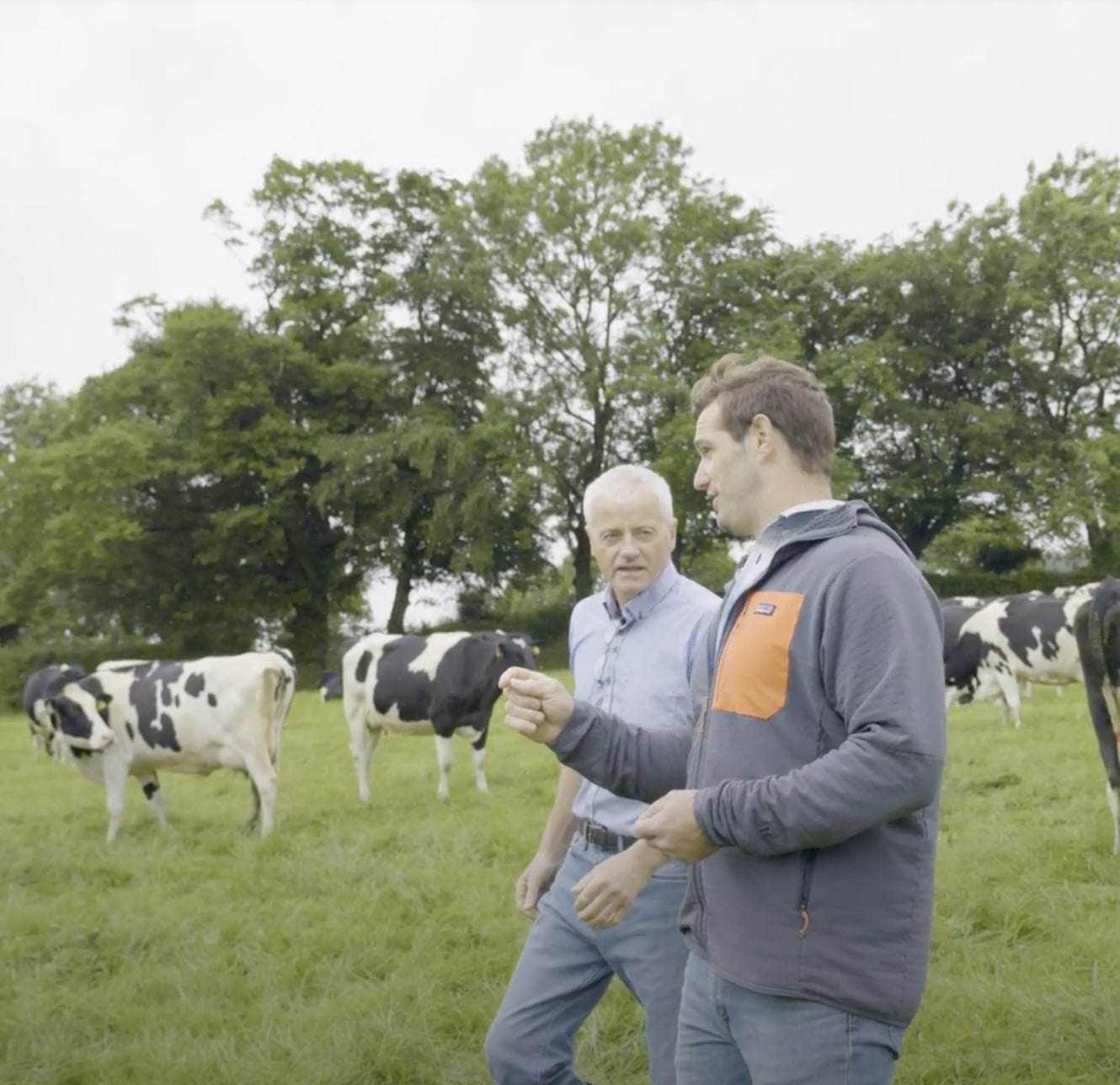 Load video: CEO Brooks Miller discussing how we source our grass-fed whey