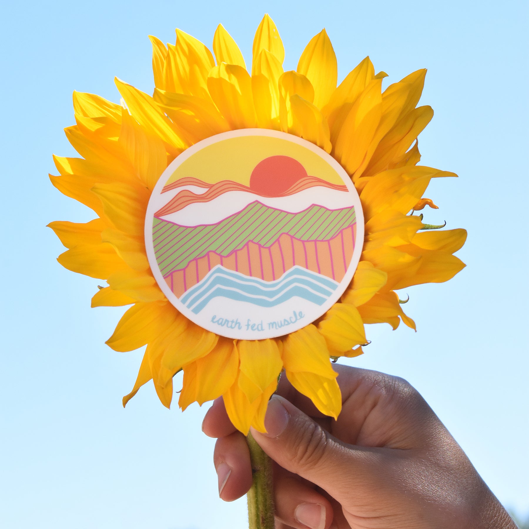 Earthy Circle Sticker – Earth Fed Muscle