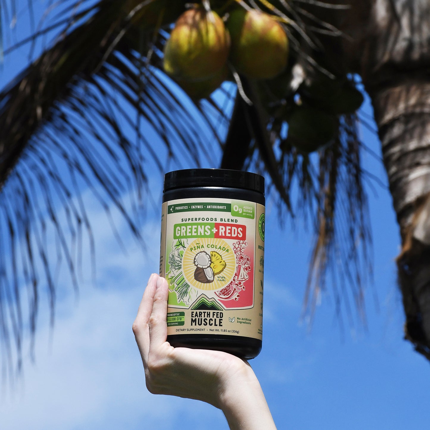 Greens + Reds Superfoods Blend Piña Colada