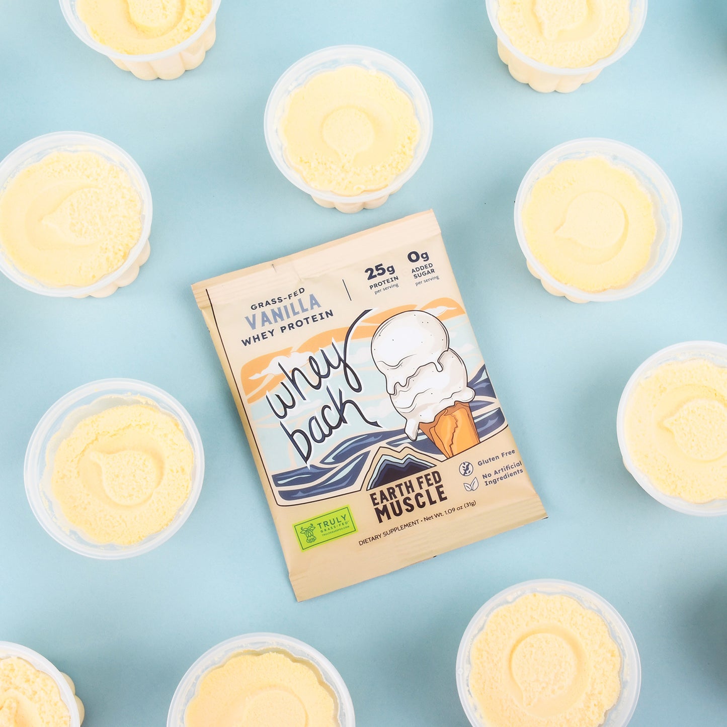 Single Serving Whey Protein Packs