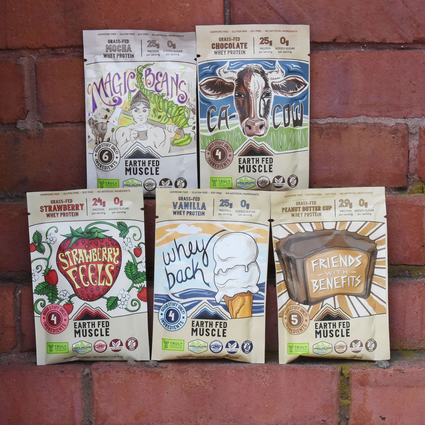 Single Serving Whey Protein Packs