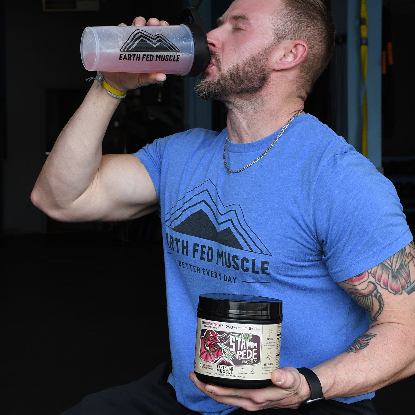 Stammpede DragonFruit Punch Preworkout