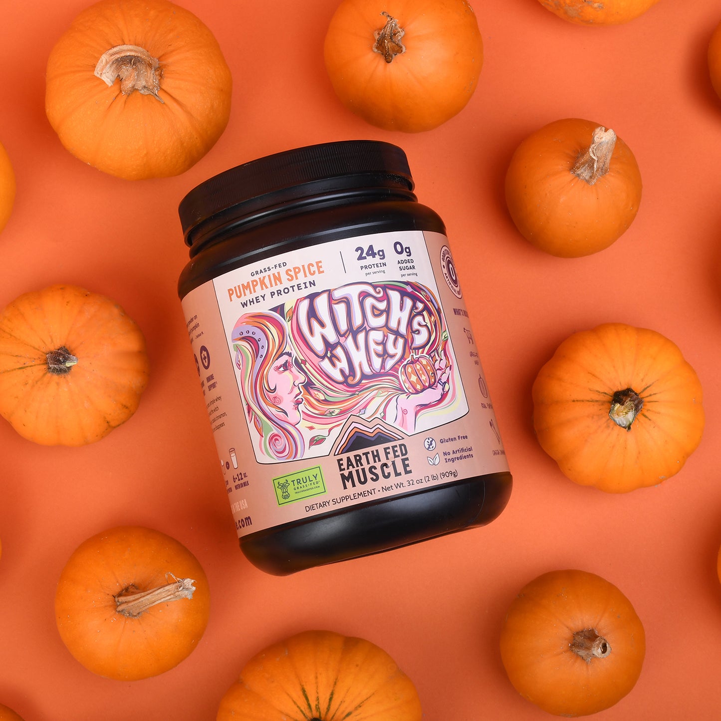 SEASONAL FLAVOR: Witch’s Whey Pumpkin Spice Grass-Fed Whey Protein