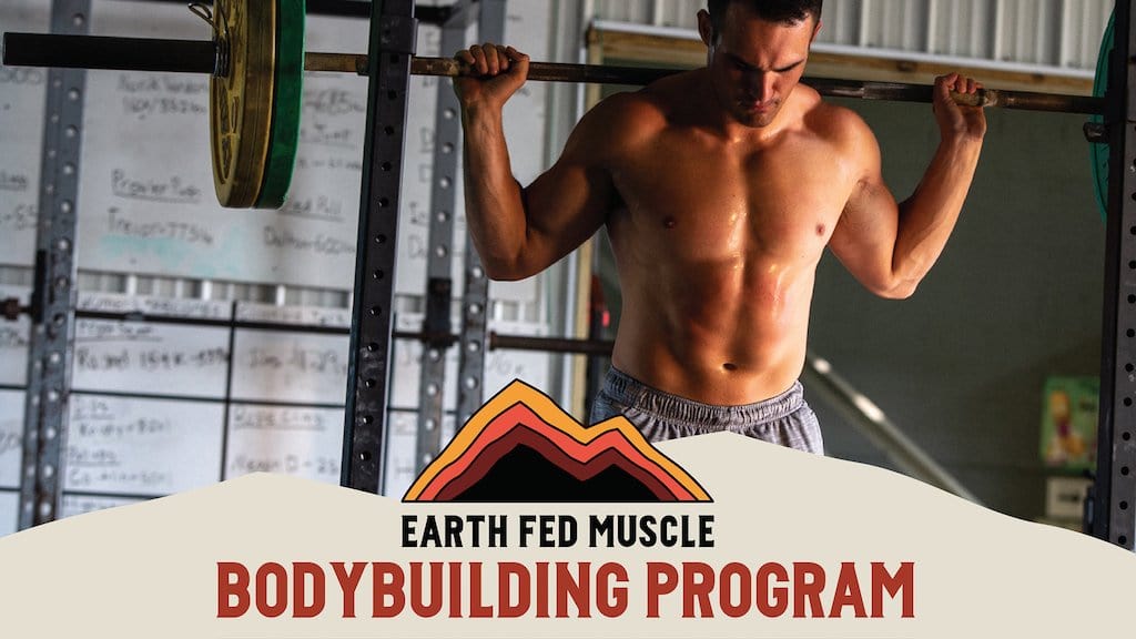 bodybuilding lifting program