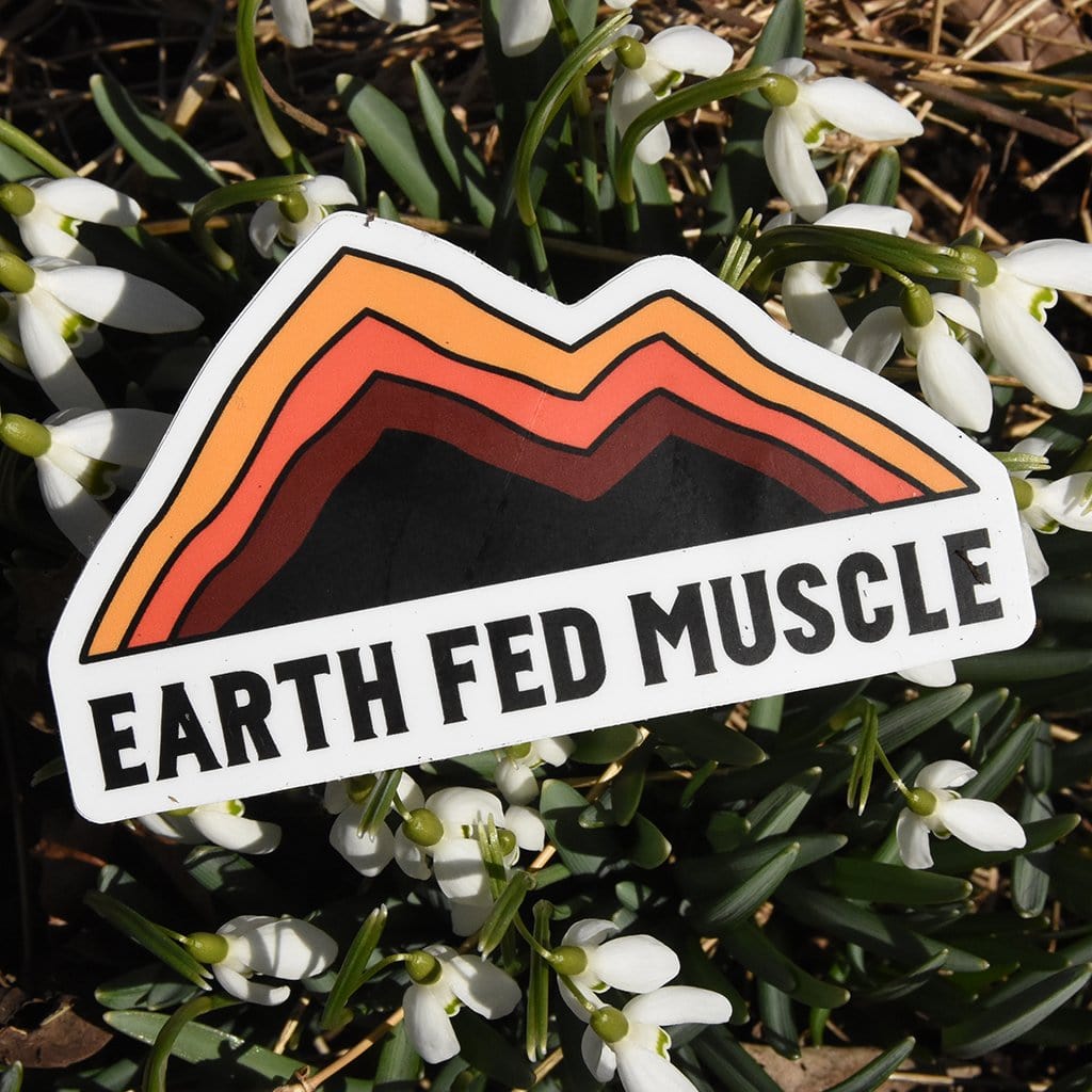 Earth Fed Die Cut Sticker (FREE GIFT)