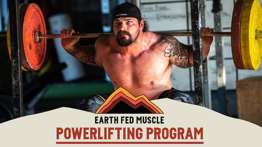 powerlifting deadlift squat bench program